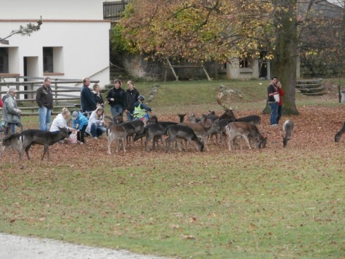 Vybraná pohlednice