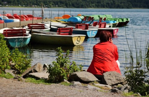 Vybraná pohlednice